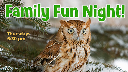 Closeup of owl in a tree – Family Fun Night promotional image